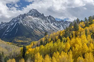 Sneffels Prints: USA, Colorado, San Juan Mountains, Uncompahgre National Forest, Mt