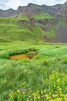 Images Dated 15th November 2021: USA, Colorado, San Juan Mountains. Velocity Basin landscape with pond in meadow