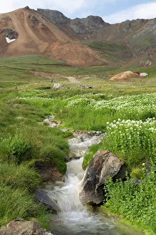 Images Dated 15th November 2021: USA, Colorado, San Juan Mountains. Waterfall cascade