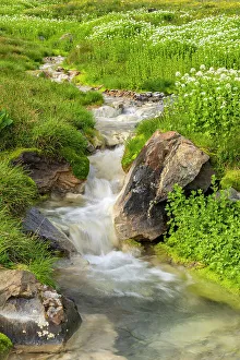 Images Dated 15th November 2021: USA, Colorado, San Juan Mountains. Waterfall cascade