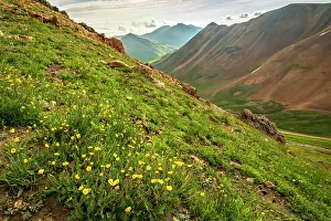 Images Dated 15th November 2021: USA, Colorado, San Juan Mountains. California Pass landscape