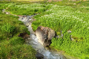 Images Dated 15th November 2021: USA, Colorado, San Juan Mountains. Waterfall cascade
