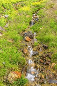 Images Dated 15th November 2021: USA, Colorado, San Juan Mountains. Waterfall cascade