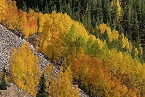 New Images March 2025 Part 2 Prints: USA, Colorado, San Juan Mountains