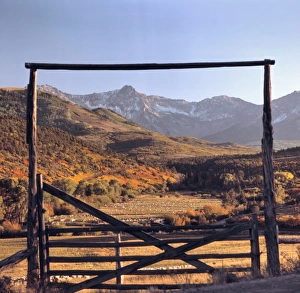 Images Dated 13th August 2012: USA, Colorado, San Juan Mountains. Sheep fill the pasture on a ranch in the San Juan