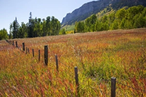 Images Dated 27th September 2009: USA, Colorado, San Juan National Forest, along highway 550