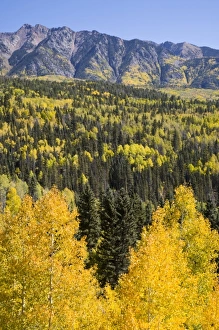 USA, Colorado, San Juan National Forest, along highway 550
