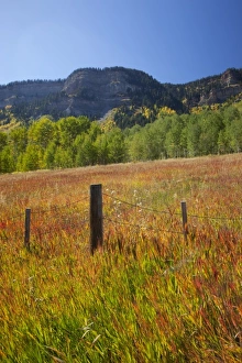 USA, Colorado, San Juan National Forest, along highway 550