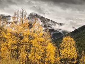 Silverton Prints: USA, Colorado, Silverton, Clearing storm and fall color on the Alpine Loop