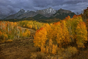 Images Dated 3rd October 2011: USA, Colorado, Sneffels Range. Dark clouds foretell an autumn storm over fall-covered aspen groves