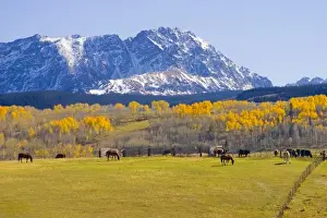 Images Dated 2002: USA, Colorado, Summit County, Shadow Mountain Ranch