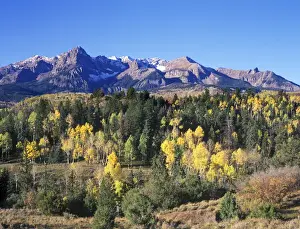 Horizon Over Land Prints: USA, Colorado, Uncompahgne NF, San Juan Mountains with Autumn Color