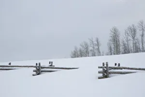 Images Dated 17th January 2016: USA, Colorado, Uncompahgre National Forest. Fence buried in deep snow. Credit as