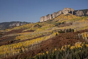 Images Dated 12th November 2020: USA, Colorado, Uncompahgre National Forest. Cimarron Ridge and forest in autumn