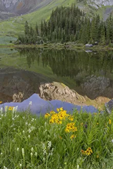 Images Dated 14th January 2022: USA, Colorado, Uncompahgre National Forest. Mountain and forest sunrise reflects in lake