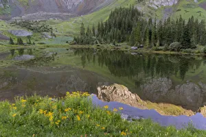 Images Dated 14th January 2022: USA, Colorado, Uncompahgre National Forest. Mountain wildflowers and pond landscape