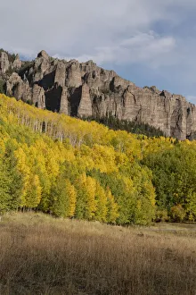 Images Dated 16th January 2022: USA, Colorado, Uncompahgre National Forest. Mountain and forest in autumn