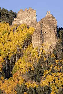 Images Dated 16th January 2022: USA, Colorado, Uncompahgre National Forest. Pinnacle Ridge towers over aspens in autumn