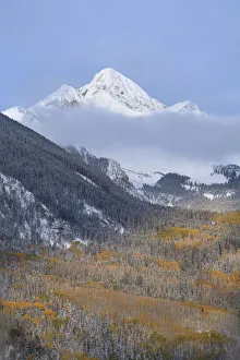 Images Dated 16th January 2022: USA, Colorado, Uncompahgre National Forest