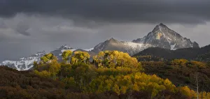 USA, Colorado, Uncompahgre National Forest. Panoramic of sunset on aspen forest below Mt. Sneffels