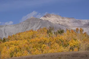 USA, Colorado, Uncompahgre National Forest. Autumn forest and mountain