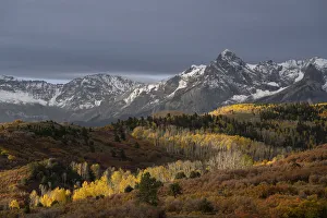 Images Dated 16th January 2022: USA, Colorado, Uncompahgre National Forest. Snowy Sneffels Range and autumn forest