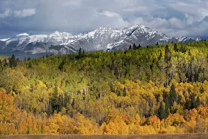 San Juan Mountain Prints: USA, Colorado, Uncompahgre National Forest. San Juan Mountains and aspen forest in autumn