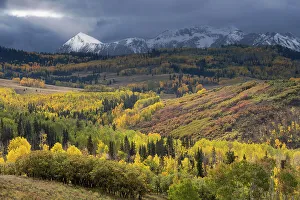 Images Dated 28th October 2022: USA, Colorado, Uncompahgre National Forest
