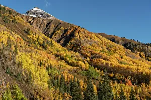 San Juan Mountain Prints: USA, Colorado, Uncompahgre National Forest. San Juan Mountains and aspen forest in autumn