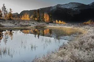 San Juan Mountain Prints: USA, Colorado, Uncompahgre National Forest. Pond reflections on frosty sunrise