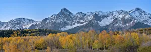 USA, Colorado, Uncompahgre National Forest. Panoramic sunset on aspen forest and Sneffels Range