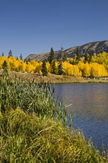 USA, Colorado, Uncompahgre National Forest, Beaver Lake