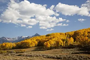 USA, Colorado, Uncompahgre National Forest along forest road 858