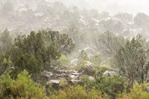 Images Dated 15th November 2021: USA, Colorado, Uncompahgre Plateau. Rainstorm in Unaweep Canyon
