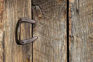 Images Dated 8th April 2021: USA, Colorado, Westcliffe. Old wooden barn wall with bent horseshoe handle. (PR)