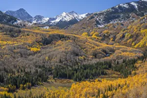 Images Dated 22nd June 2020: USA, Colorado, White River National Forest, Aspen and evergreen forest in autumn below
