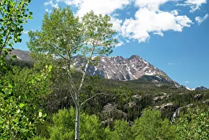 USA, Colorado. White River National Forest