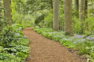 Images Dated 4th May 2018: USA, Delaware, Hockessin. Path through the forest