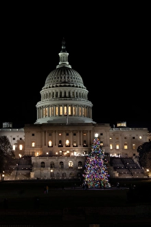 District Of Columbia Prints: USA, District of Columbia. United States Capitol and Christmas Tree