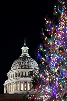 District Of Columbia Prints: USA, District of Columbia. United States Capitol and Christmas Tree