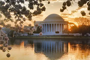 Images Dated 10th April 2013: USA, District of Columbia, Washingon, Jefferson Memorial with Cherry Blossoms at Sunrise