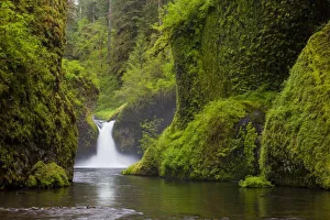Eagle Creek Prints: USA, Eagle Creek, Columbia Gorge, Oregon. Punchbowl Falls on Eagle Creek