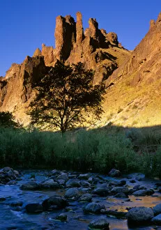 USA, Eastern Oregon, Owyhee area, Cliffs above a small stream in Leslie Gulch