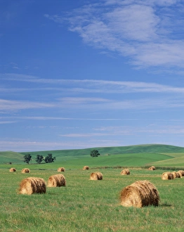 USA, Eastern Washington, Hay bales and clouds