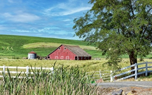 Fence Line Prints: USA, Endicott, Washington State. Lee Road, farming scene. (Editorial Use Only)