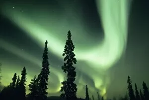 Images Dated 27th August 2008: USA, Fairbanks area, Central Alaska, Aurora Borealis, Northern Lights, major solar flare event