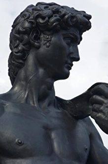 Ringling Prints: USA, FL, Sarasota, John and Mabel Ringling Museum, Statue of David in Museum Courtyard