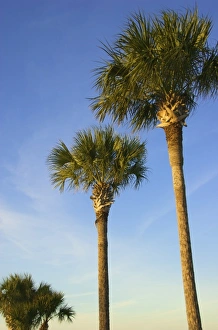 USA, Florida