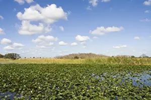 USA, Florida, Big Cypress Seminole Reservation: Everglades View