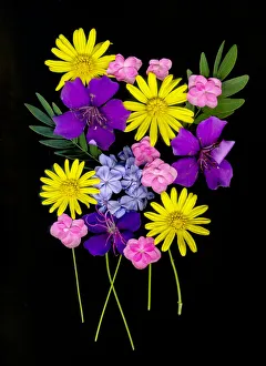 Images Dated 21st June 2021: USA, Florida, Celebration. A bouquet of flowers